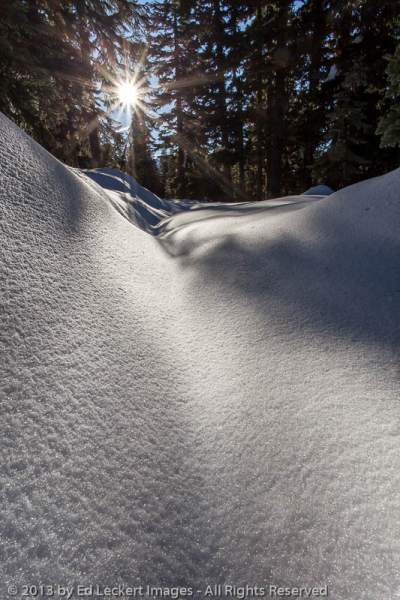 Snow Day, Mount Rainier National Park, Washington