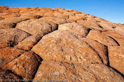 Sandstone Tiles, Yant Flat, Utah